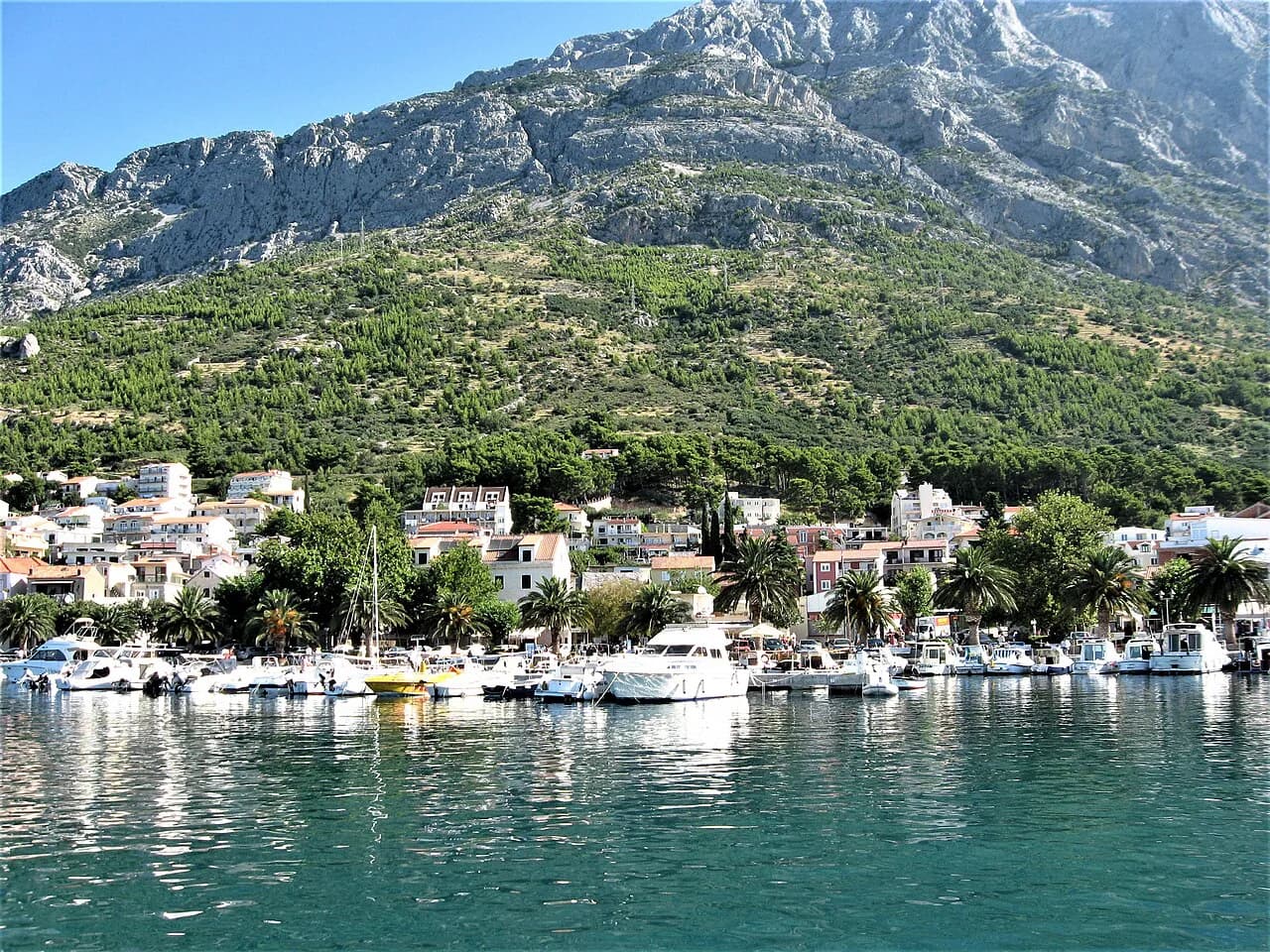 Baška Voda Restaurants: Where to Eat on the Makarska Riviera