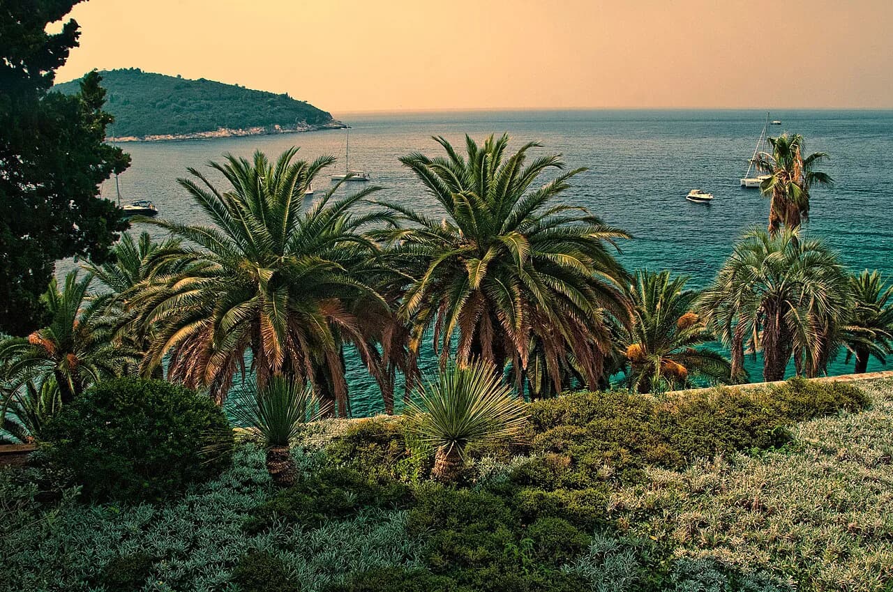 Beach Restaurants in Dubrovnik: Where to Eat by the Sea