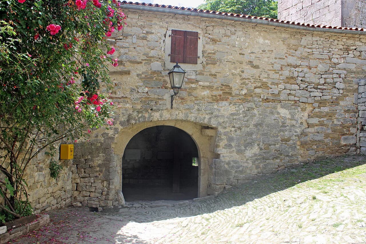 Biska: Istria's Mistletoe Rakija Explained
