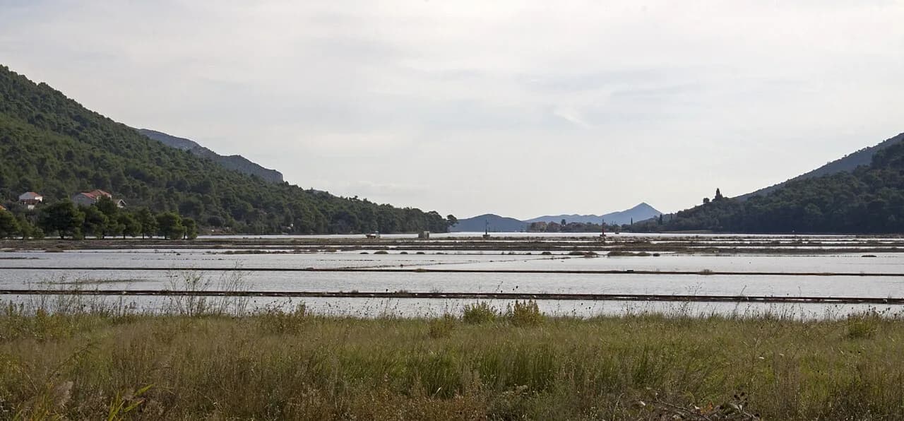 Croatian Sea Salt: Nin, Pag and What to Buy