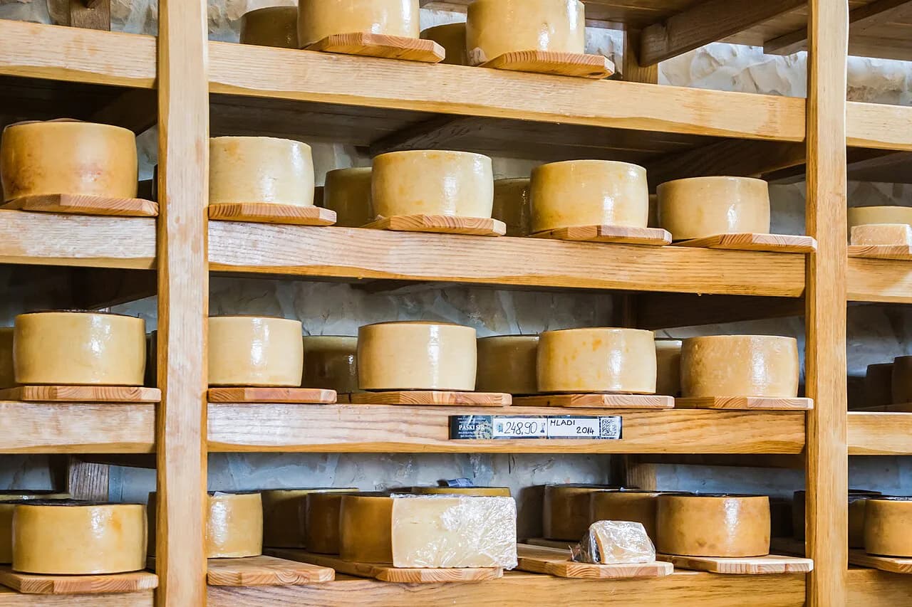 Paški sir: Croatia's Sheep's Cheese from Pag