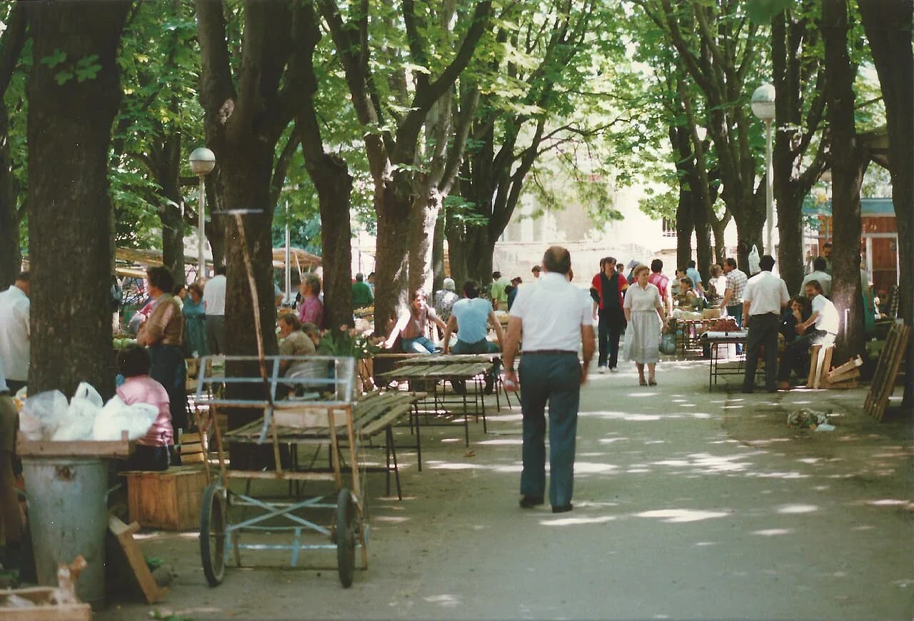 Pula Market: What to Buy and How It Works