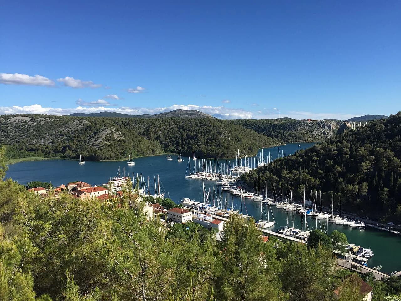 Skradin Risotto: Croatia's Slow-Cooked Dalmatian Dish