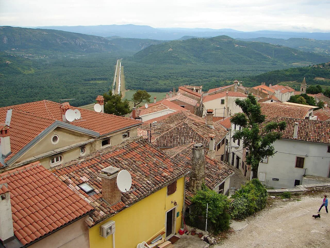 Truffle Hunting in Croatia: Istria Seasons, Forests and What to Expect