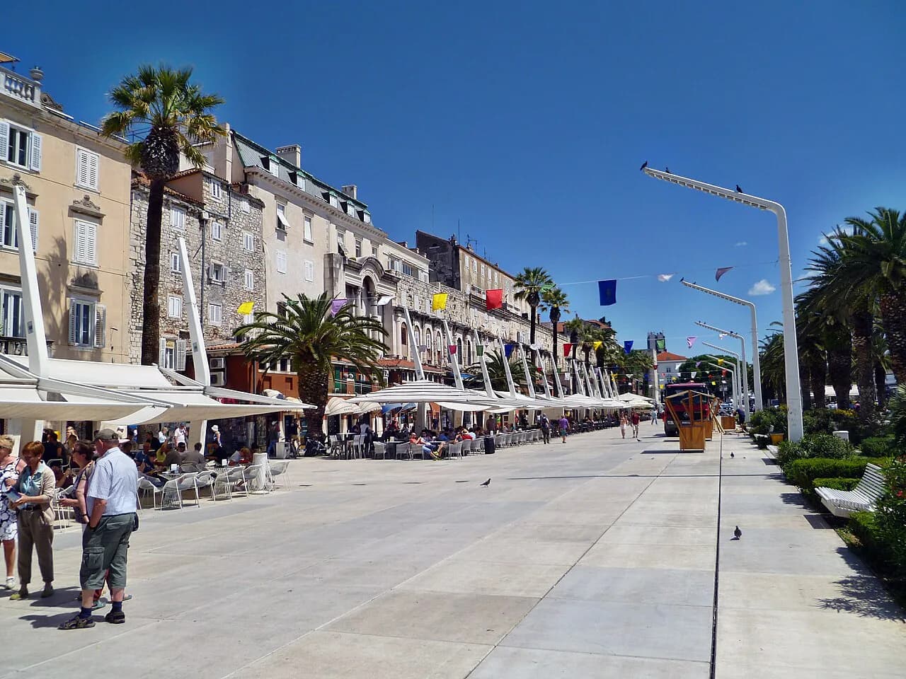 Truffle in Split: Where to Eat It and How the Hunt Works
