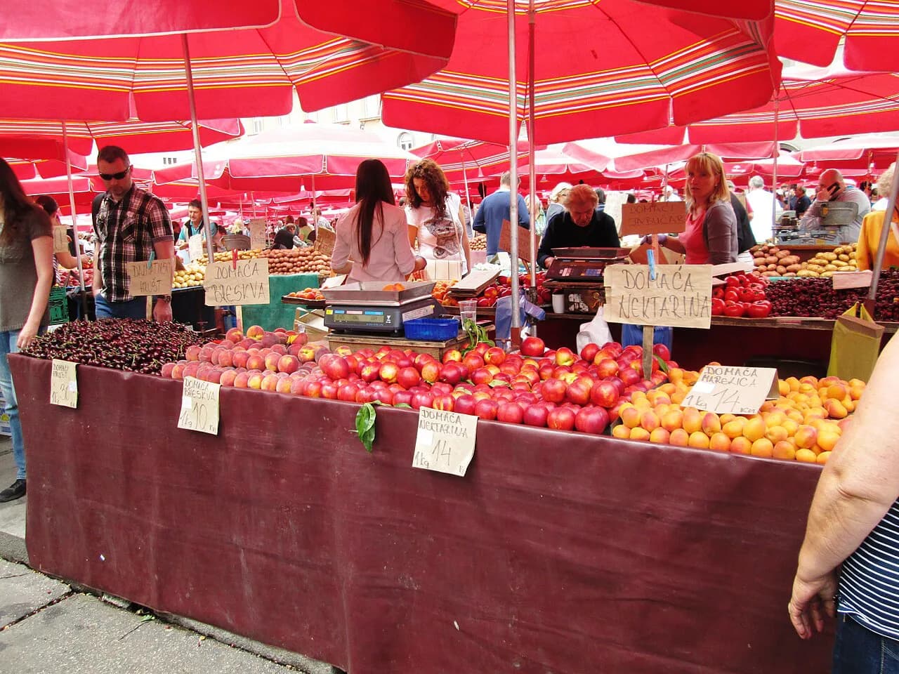 Zagreb Cooking Classes: What to Expect and Where to Book