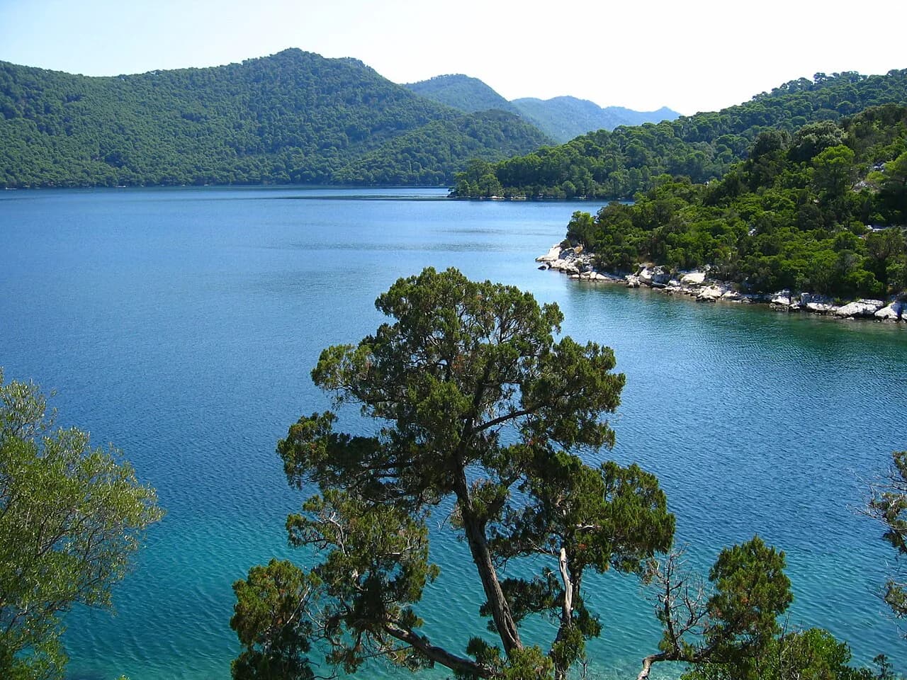 Mljet Restaurants: Where to Eat on the Island