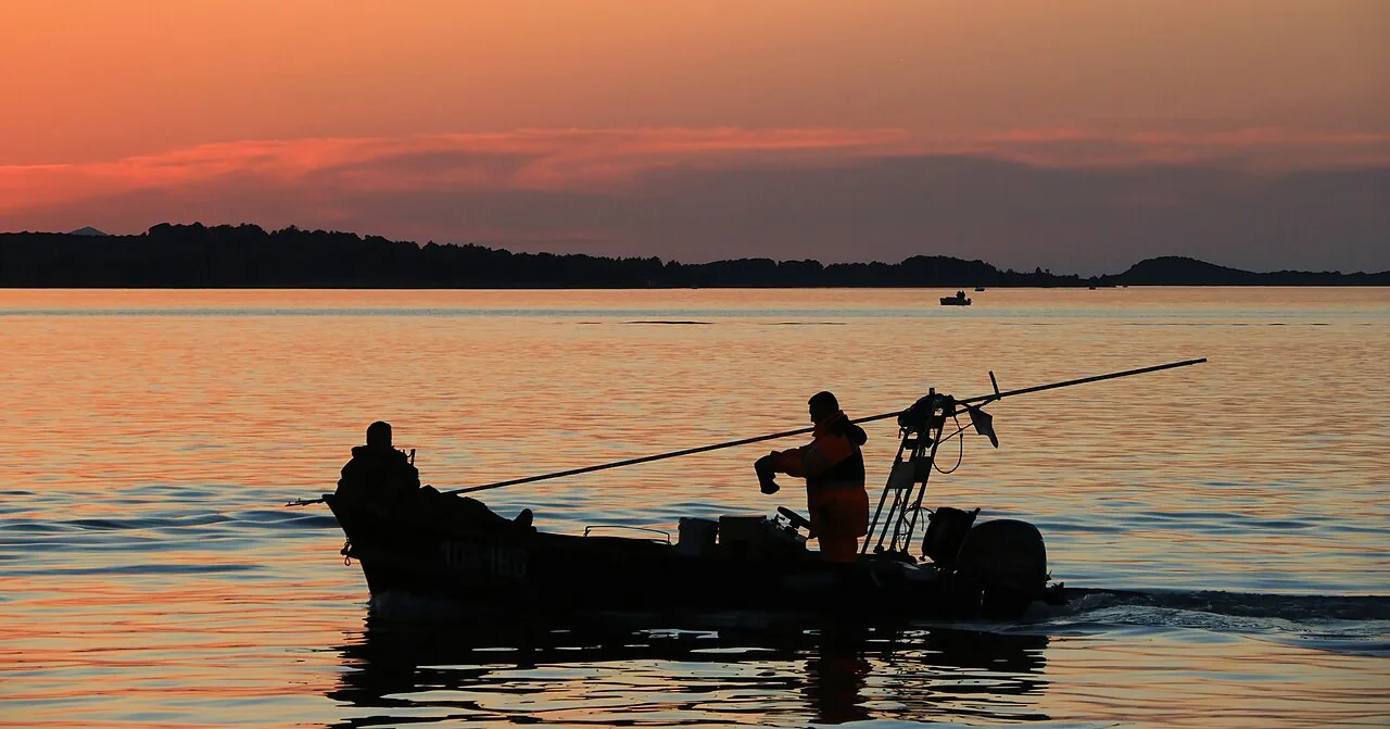 Shellfish fishermen at work off Biograd na Moru.