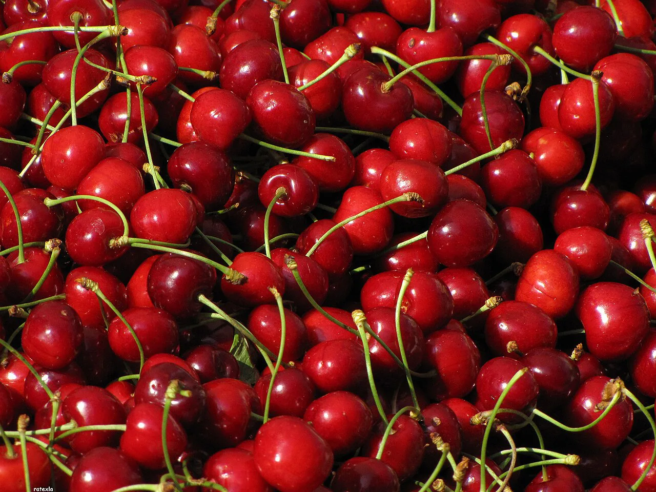 Cherries on a market stall in Split.