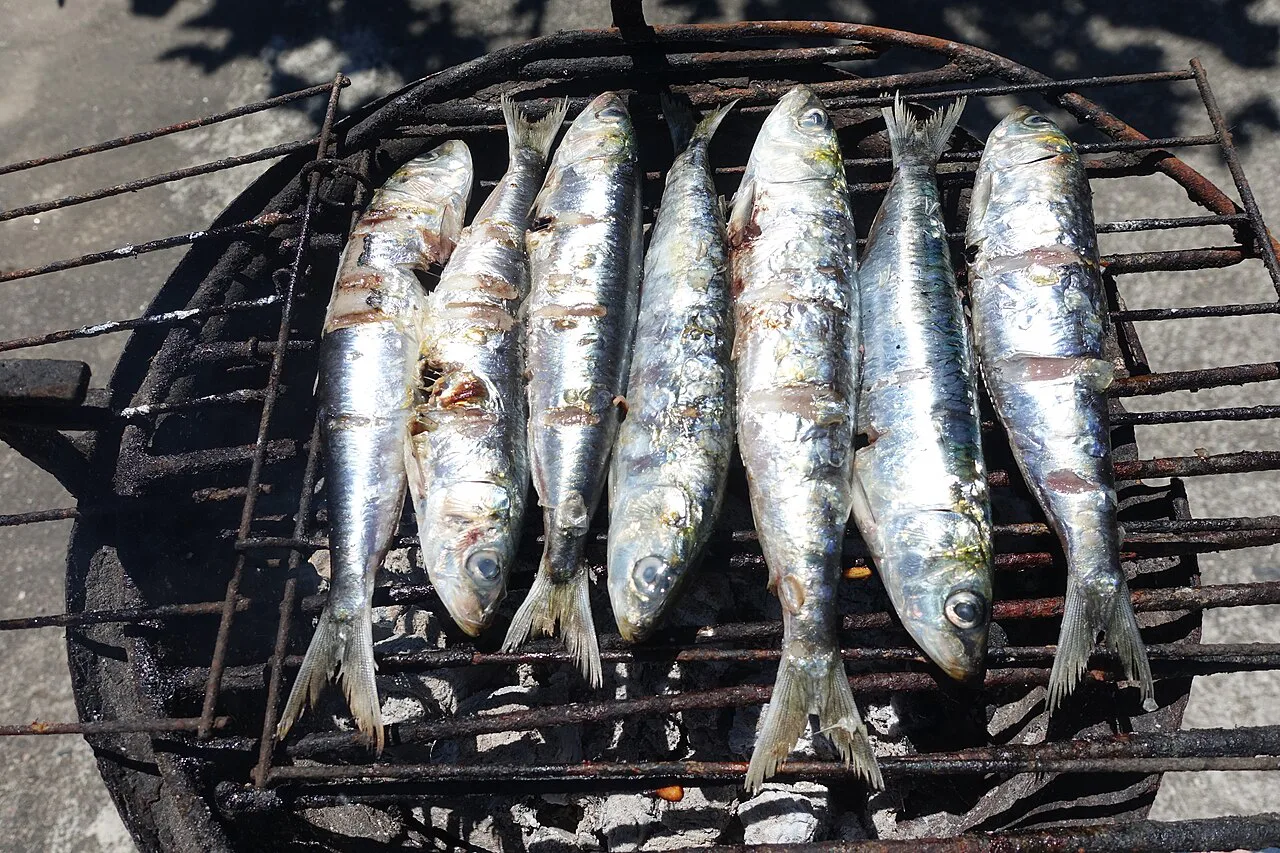 Sardines on a charcoal grill.