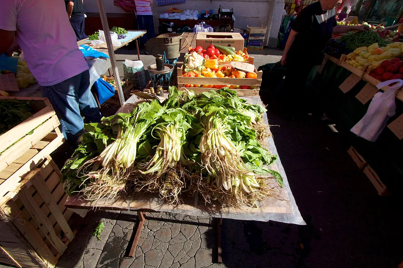 Chard for sale at Dolac Market, Zagreb.
