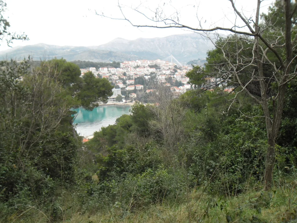 Lapad Bay and its pine woods, Dubrovnik.