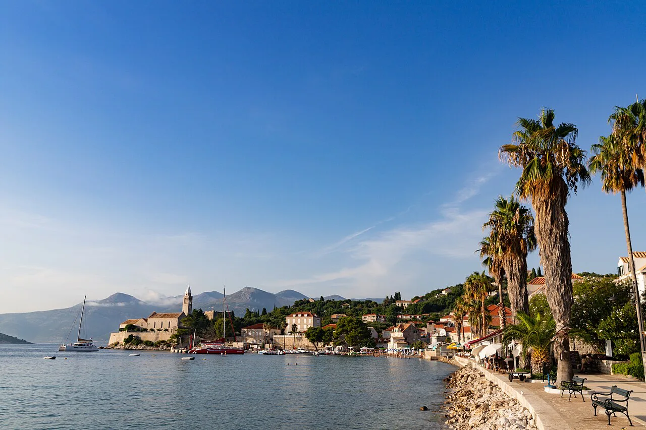 Palm trees along the western shore of Lopud.