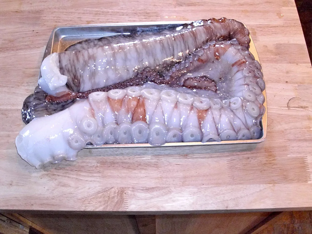 Raw octopus prepared for cooking.