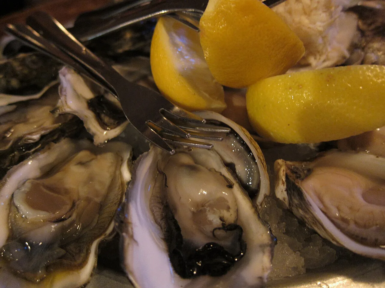 Fresh oysters served with lemon wedges.