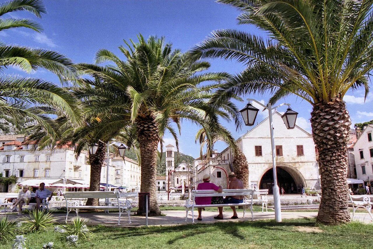 Palms on the main square, Hvar town.