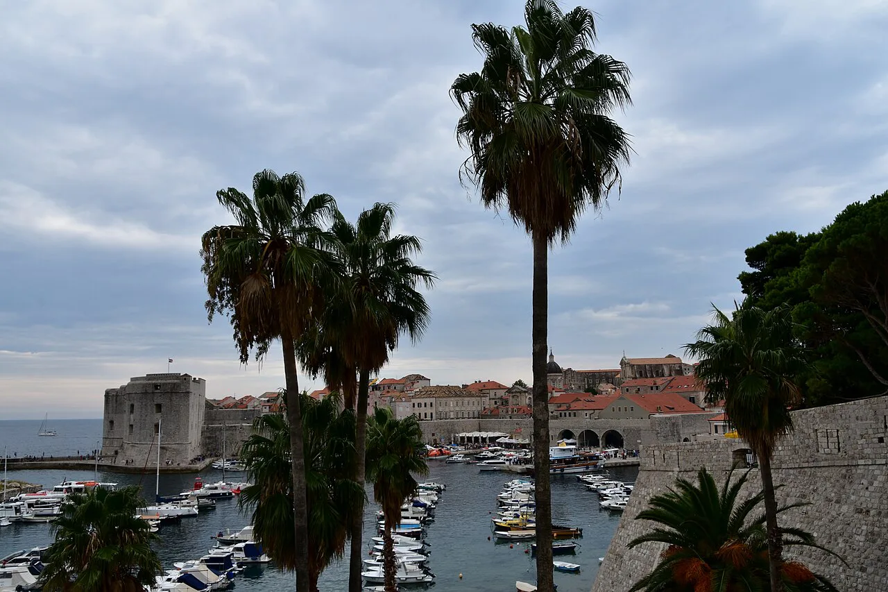 The old port of Dubrovnik framed by palm trees.