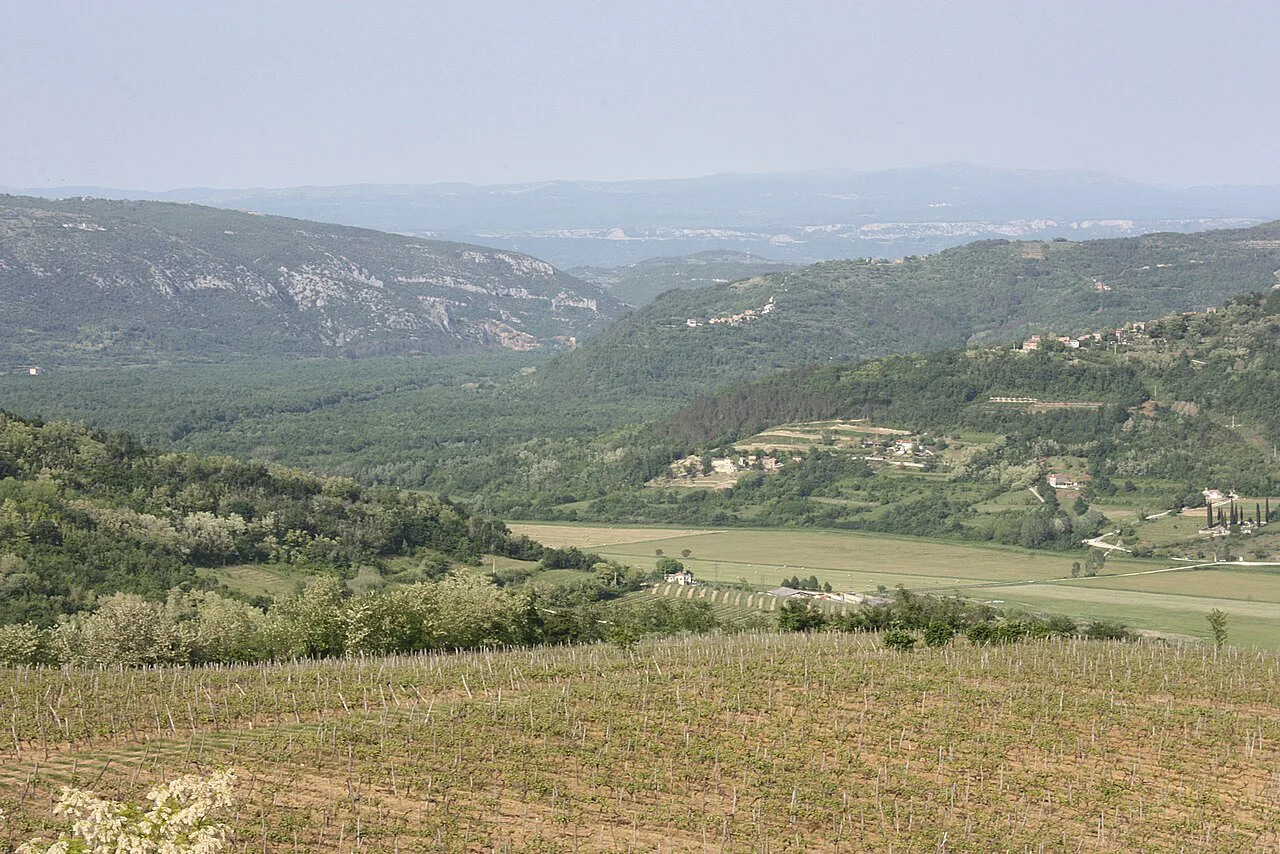 Countryside around Motovun, Istria.