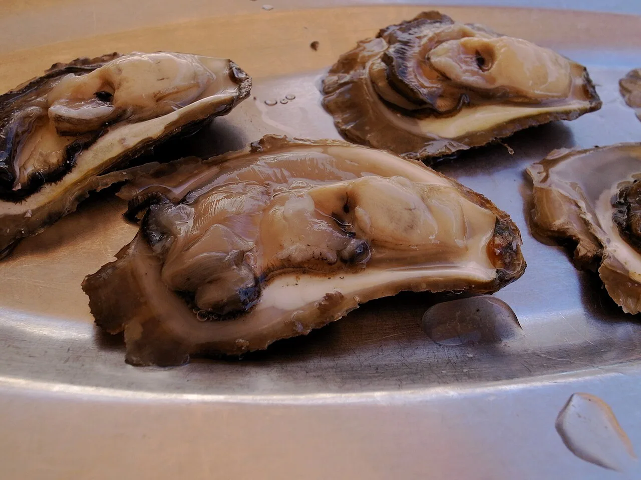 Oysters at Kamenice, Dubrovnik.